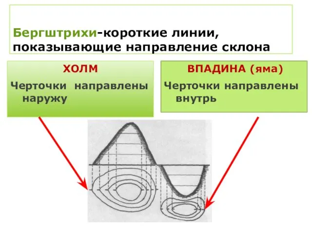 Бергштрихи-короткие линии, показывающие направление склона ХОЛМ Черточки направлены наружу ВПАДИНА (яма) Черточки направлены внутрь