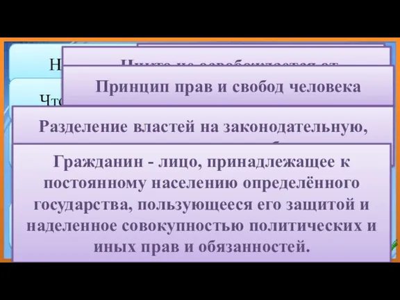 Назови Основной закон страны. Что означает верховенство права ? Что определяет сущность правового