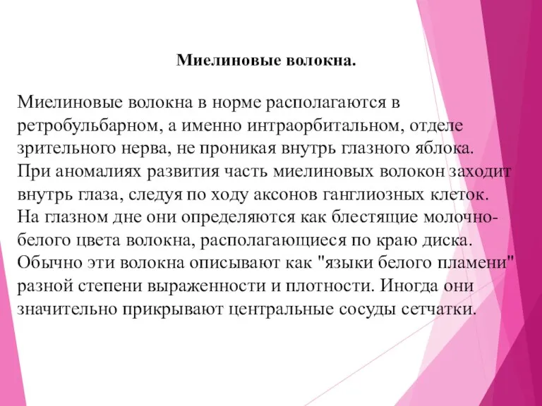 Миелиновые волокна. Миелиновые волокна в норме располагаются в ретробульбарном, а