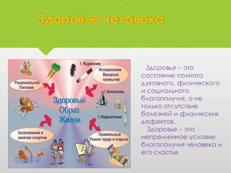 Здоровье человека Здоровье – это состояние полного духовного, физического и