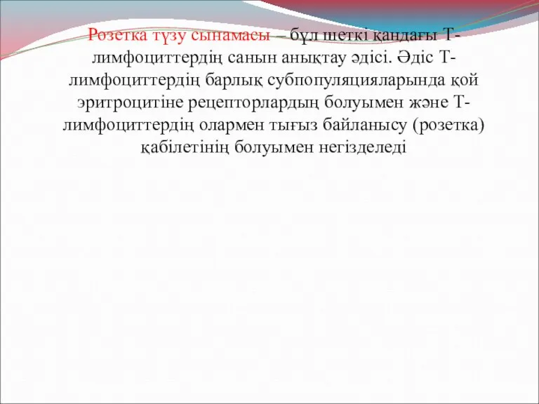 Розетка түзу сынамасы – бұл шеткі қандағы Т-лимфоциттердің санын анықтау