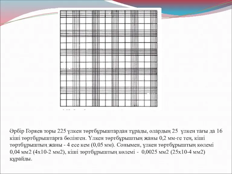 Әрбір Горяев торы 225 үлкен төртбұрыштардан тұрады, олардың 25 үлкен