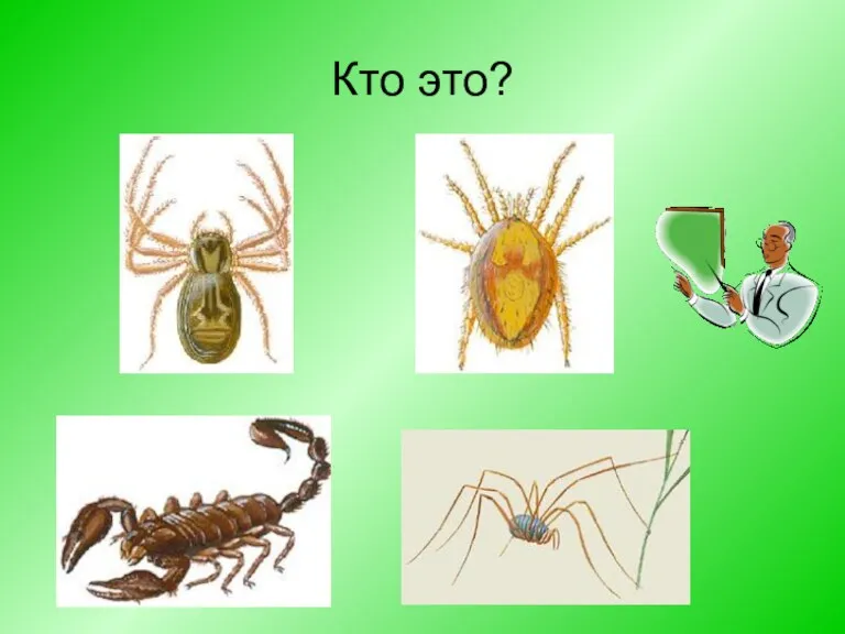 Кто это?