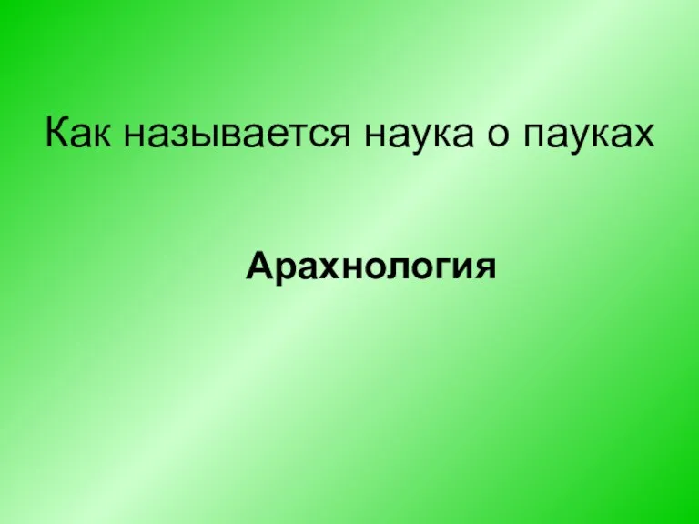 Как называется наука о пауках Арахнология