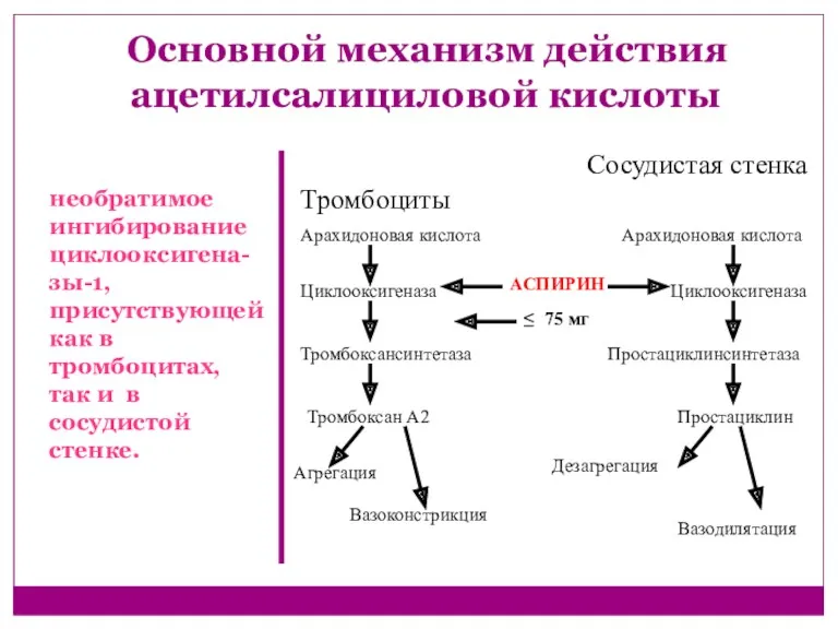 Основной механизм действия ацетилсалициловой кислоты Тромбоциты Сосудистая стенка Арахидоновая кислота Арахидоновая кислота Циклооксигеназа