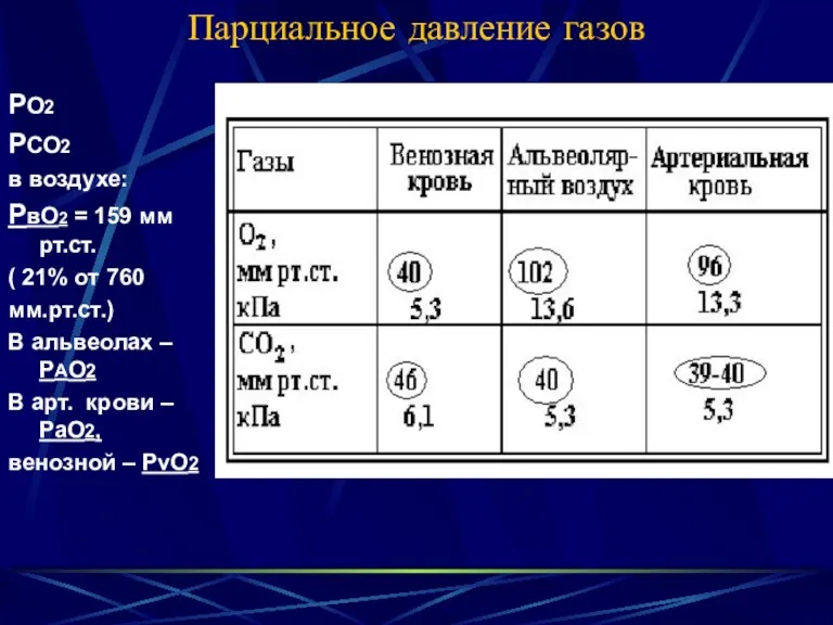 Парциальное давление газов РО2 РСО2 в воздухе: РвО2 = 159