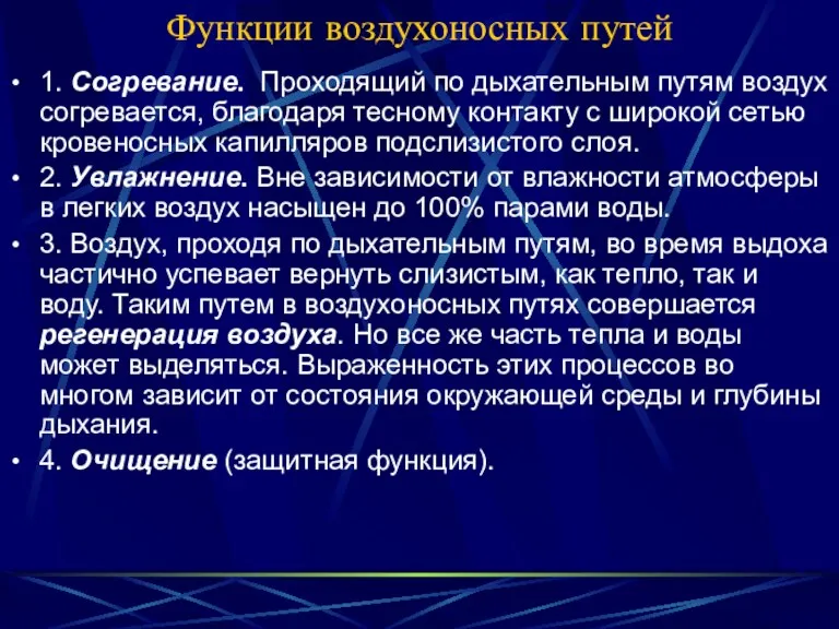 Функции воздухоносных путей 1. Согревание. Проходящий по дыхательным путям воздух