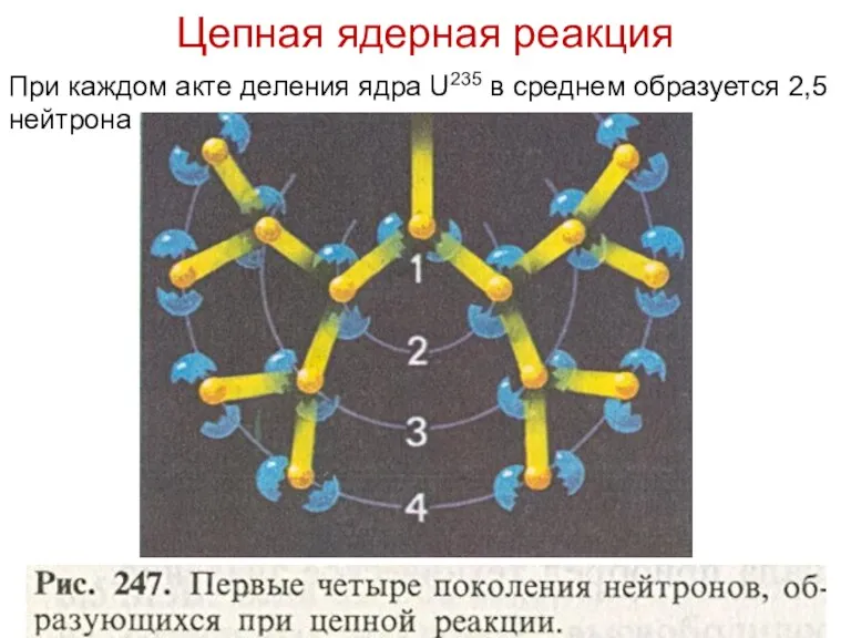 Цепная ядерная реакция При каждом акте деления ядра U235 в среднем образуется 2,5 нейтрона