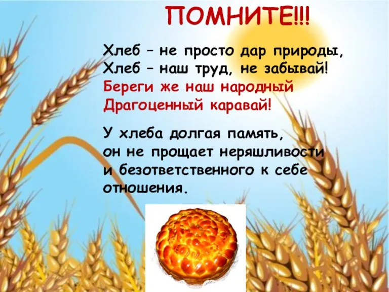 ПОМНИТЕ!!! Хлеб – не просто дар природы, Хлеб – наш труд, не забывай!
