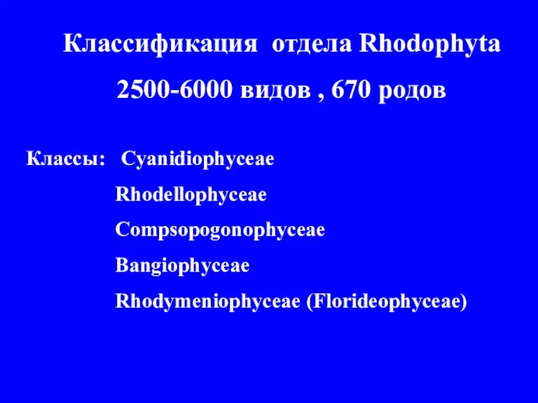 Классификация отдела Rhodophyta 2500-6000 видов , 670 родов Классы: Cyanidiophyceae Rhodellophyceae Compsopogonophyceae Bangiophyceae Rhodymeniophyceae (Florideophyceae)