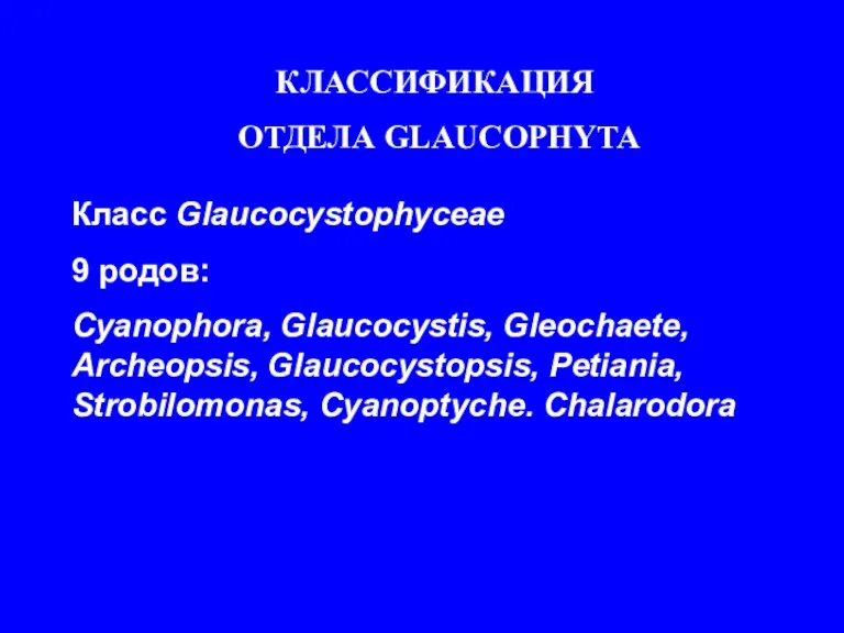 КЛАССИФИКАЦИЯ ОТДЕЛА GLAUСOPHYTA Класс Glaucocystophyceae 9 родов: Cyanophora, Glaucocystis, Gleochaete, Archeopsis, Glaucocystopsis, Petiania, Strobilomonas, Cyanoptyche. Chalarodora