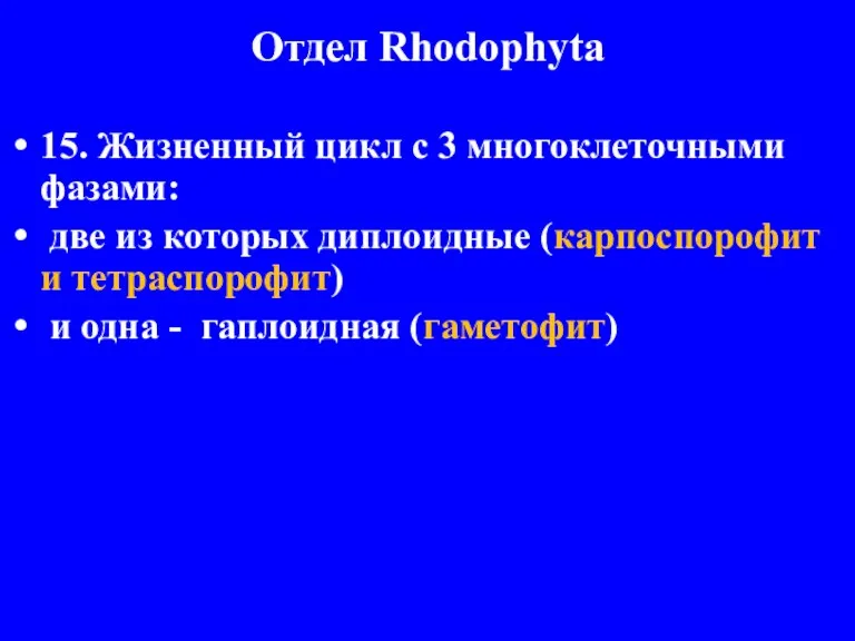 Отдел Rhodophyta 15. Жизненный цикл с 3 многоклеточными фазами: две