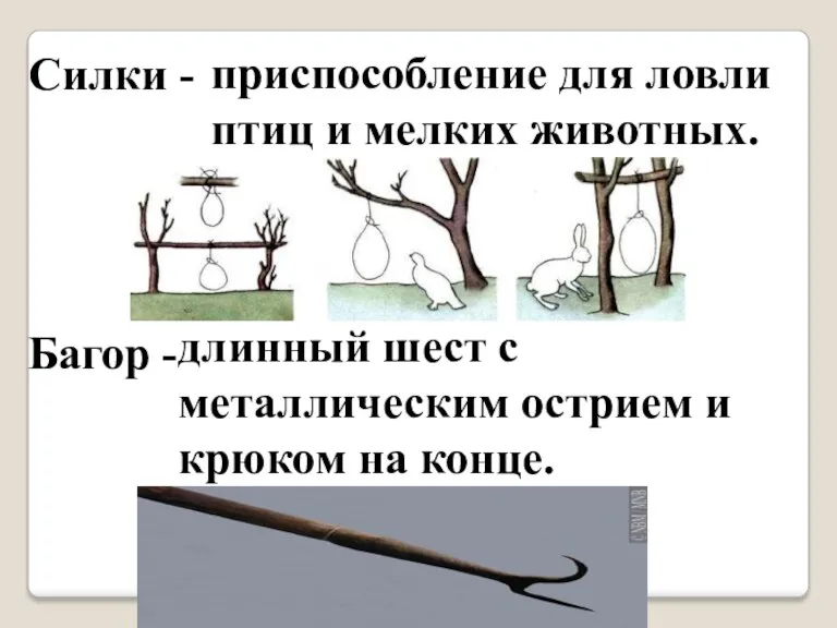 Силки - Багор - приспособление для ловли птиц и мелких животных. длинный шест