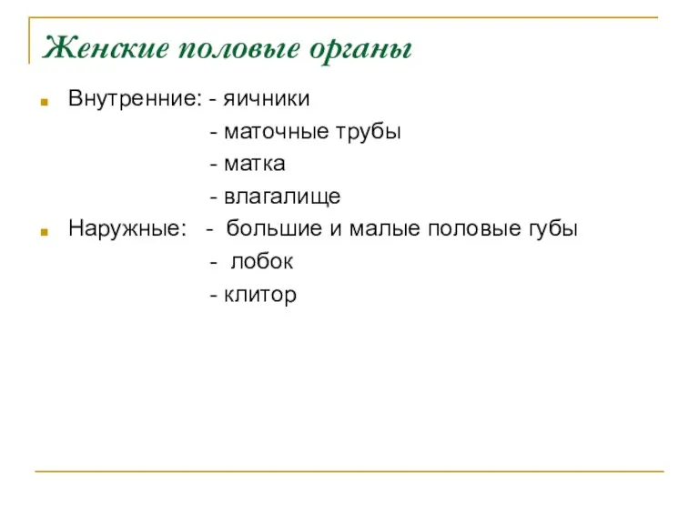 Женские половые органы Внутренние: - яичники - маточные трубы - матка - влагалище