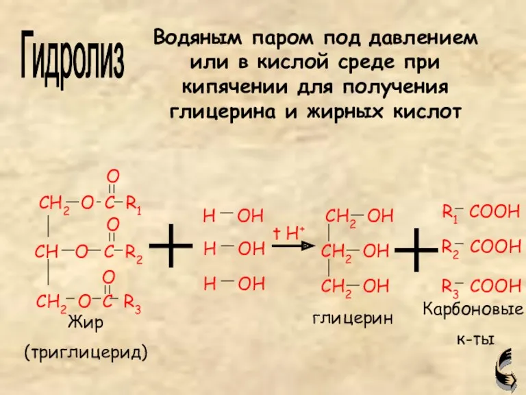 Жир (триглицерид) глицерин Карбоновые к-ты Гидролиз Водяным паром под давлением