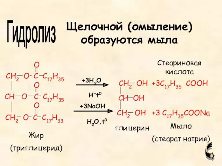 +3C17H35 COOH +3 C17H35COONa Жир (триглицерид) глицерин Мыло (стеарат натрия)