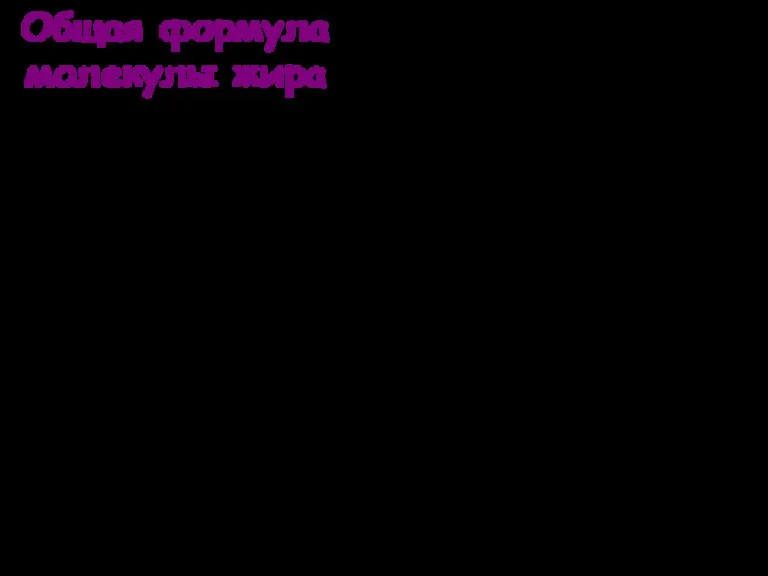 В состав жира входит 5-8 остатков различных кислот (в сливочном