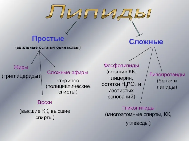 Липиды Простые (ацильные остатки одинаковы) Сложные Жиры (триглицериды) Воски (высшие