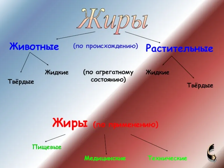 Животные Растительные Жиры Твёрдые Жидкие Твёрдые Жидкие Жиры (по применению)