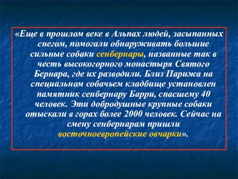 «Еще в прошлом веке в Альпах людей, засыпанных снегом, помогали обнаруживать большие сильные