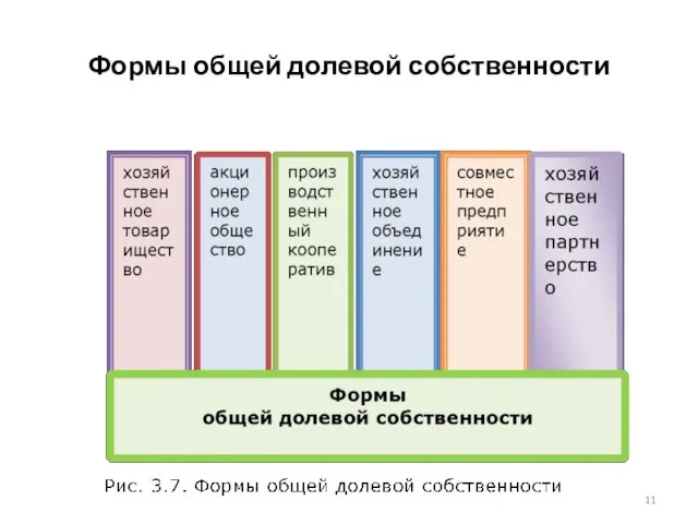 Формы общей долевой собственности