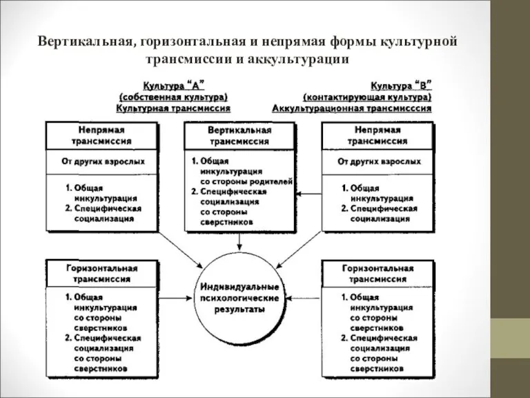 Вертикальная, горизонтальная и непрямая формы культурной трансмиссии и аккультурации