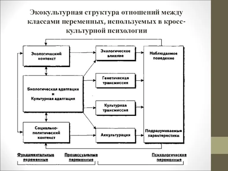 Экокультурная структура отношений между классами переменных, используемых в кросс-культурной психологии