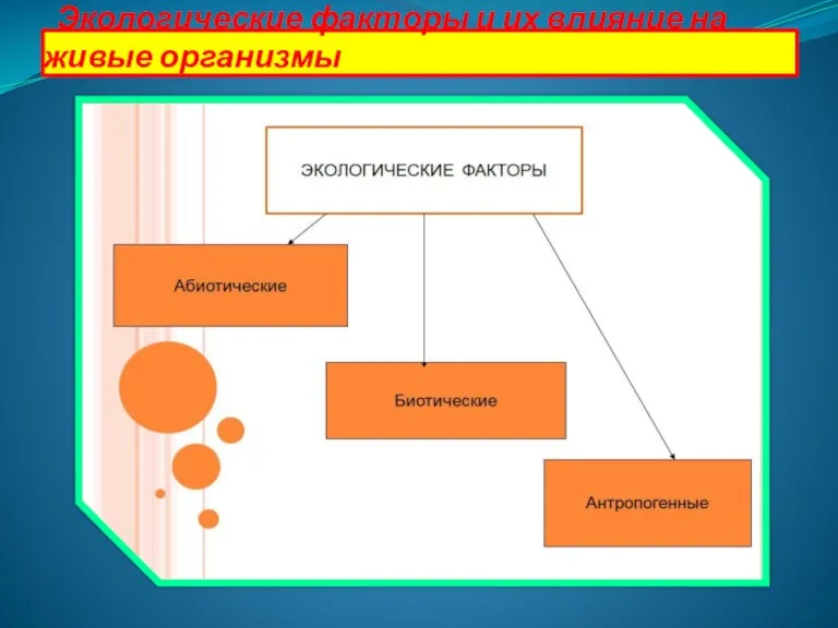 Экологические факторы и их влияние на живые организмы