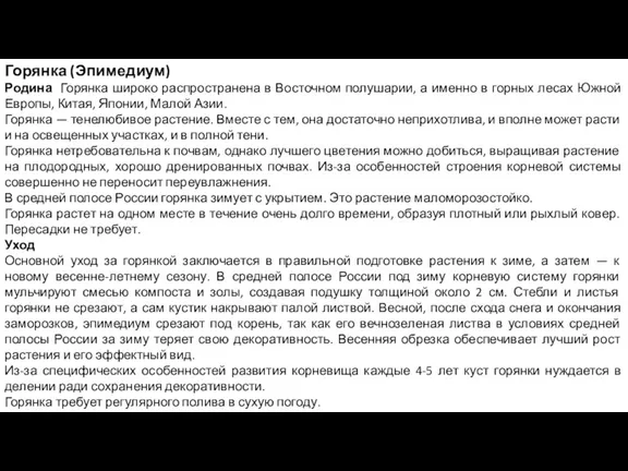 Горянка (Эпимедиум) Родина Горянка широко распространена в Восточном полушарии, а