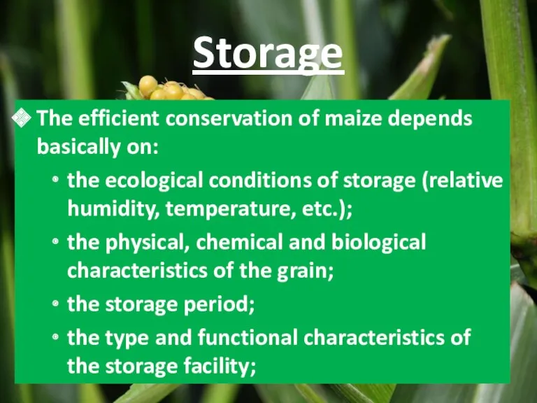 Storage The efficient conservation of maize depends basically on: the