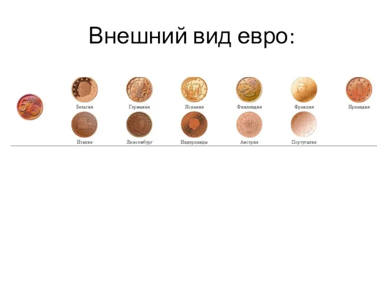 Внешний вид евро: