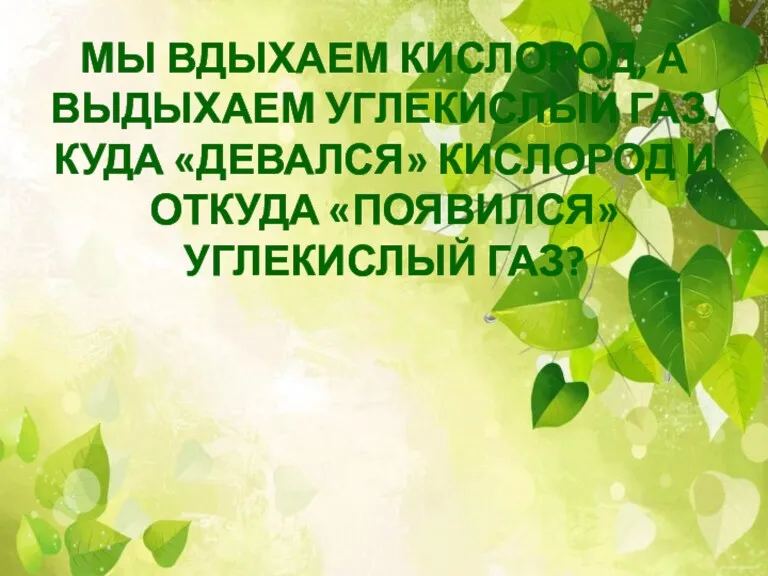 МЫ ВДЫХАЕМ КИСЛОРОД, А ВЫДЫХАЕМ УГЛЕКИСЛЫЙ ГАЗ. КУДА «ДЕВАЛСЯ» КИСЛОРОД И ОТКУДА «ПОЯВИЛСЯ» УГЛЕКИСЛЫЙ ГАЗ?