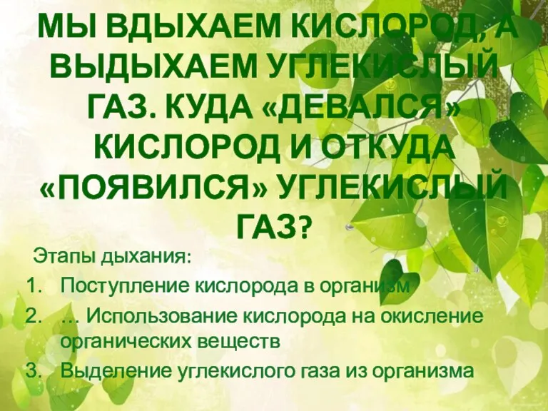 МЫ ВДЫХАЕМ КИСЛОРОД, А ВЫДЫХАЕМ УГЛЕКИСЛЫЙ ГАЗ. КУДА «ДЕВАЛСЯ» КИСЛОРОД