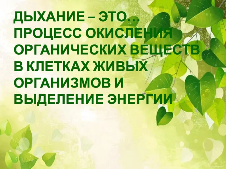 ДЫХАНИЕ – ЭТО… ПРОЦЕСС ОКИСЛЕНИЯ ОРГАНИЧЕСКИХ ВЕЩЕСТВ В КЛЕТКАХ ЖИВЫХ ОРГАНИЗМОВ И ВЫДЕЛЕНИЕ ЭНЕРГИИ