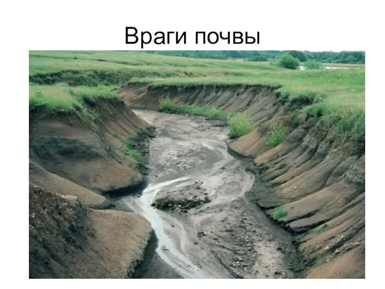 Враги почвы