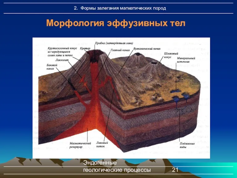 Эндогенные геологические процессы Морфология эффузивных тел