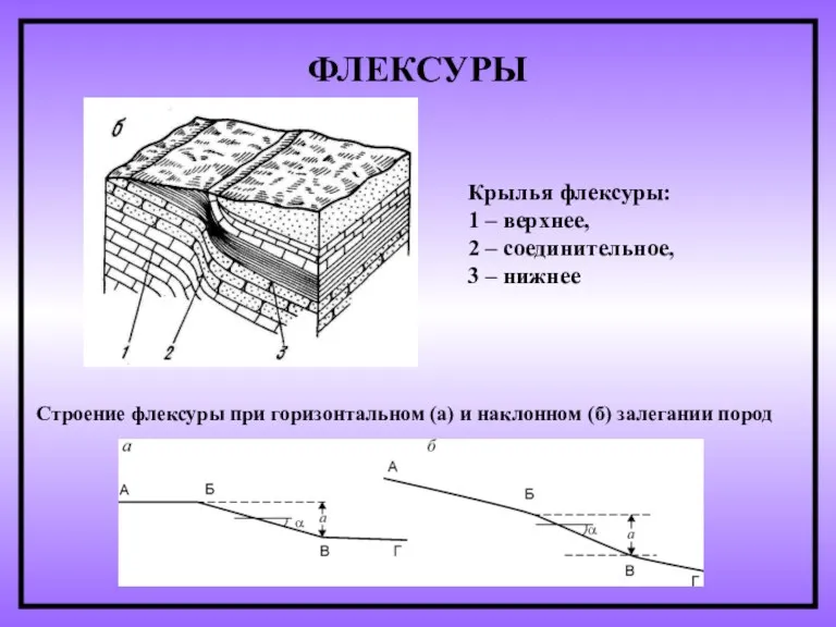 ФЛЕКСУРЫ Крылья флексуры: 1 – верхнее, 2 – соединительное, 3