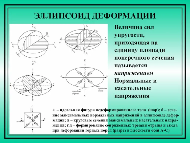 ЭЛЛИПСОИД ДЕФОРМАЦИИ Величина сил упругости, приходящая на единицу площади поперечного