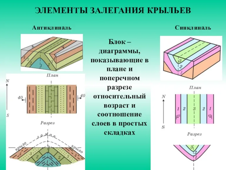 ЭЛЕМЕНТЫ ЗАЛЕГАНИЯ КРЫЛЬЕВ Блок – диаграммы, показывающие в плане и