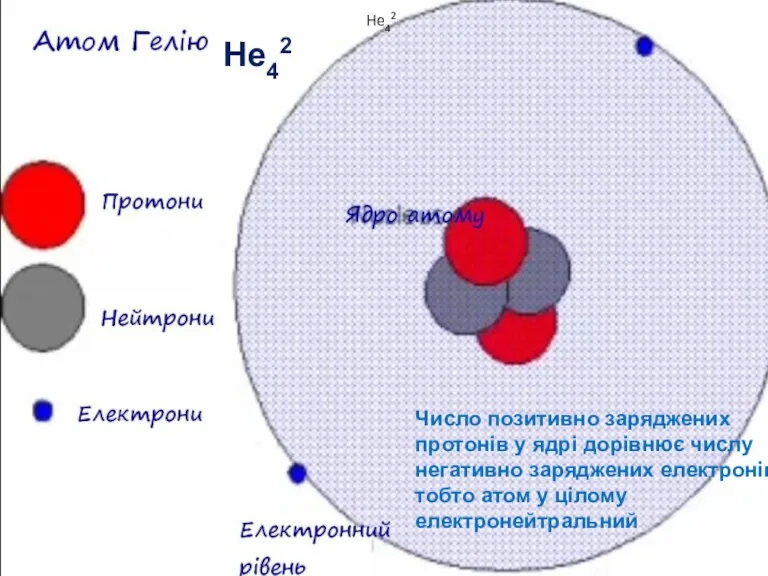 He42 He42 Число позитивно заряджених протонів у ядрі дорівнює числу