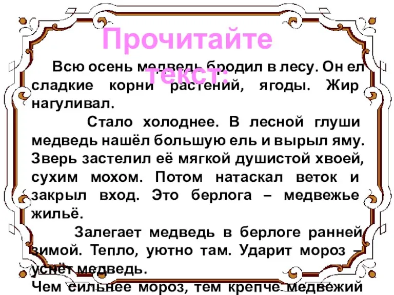 Всю осень медведь бродил в лесу. Он ел сладкие корни