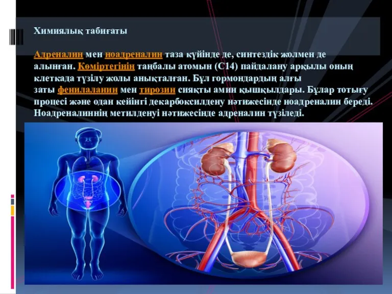 Химиялық табиғаты Адреналин мен ноадреналин таза күйінде де, синтездік жолмен