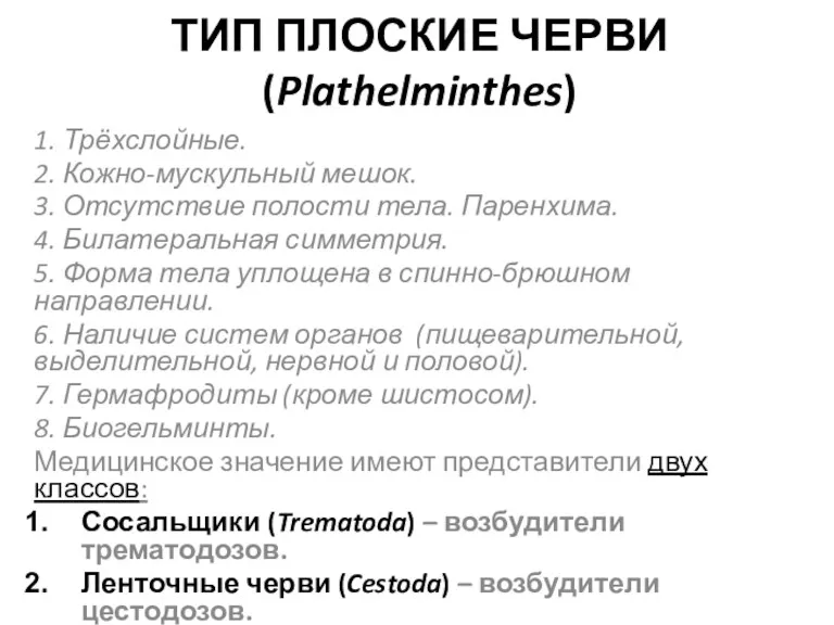 ТИП ПЛОСКИЕ ЧЕРВИ (Plathelminthes) 1. Трёхслойные. 2. Кожно-мускульный мешок. 3.