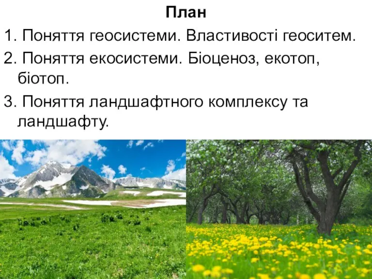 План 1. Поняття геосистеми. Властивості геоситем. 2. Поняття екосистеми. Біоценоз,