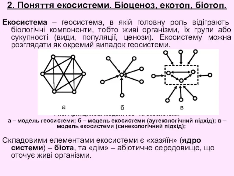 2. Поняття екосистеми. Біоценоз, екотоп, біотоп. Екосистема – геосистема, в