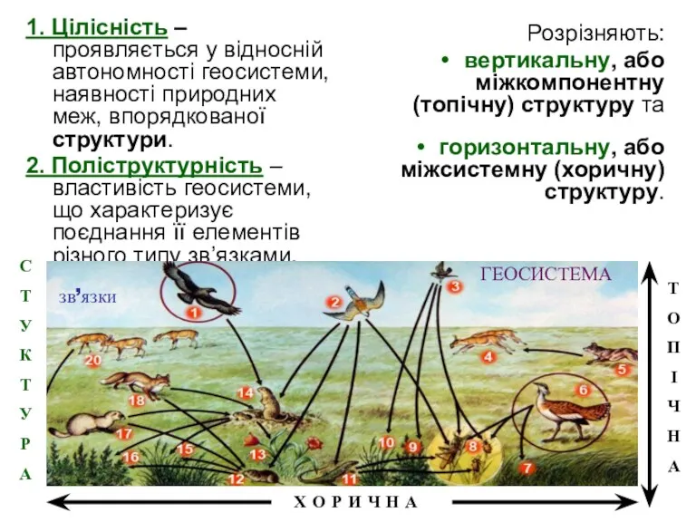 1. Цілісність – проявляється у відносній автономності геосистеми, наявності природних