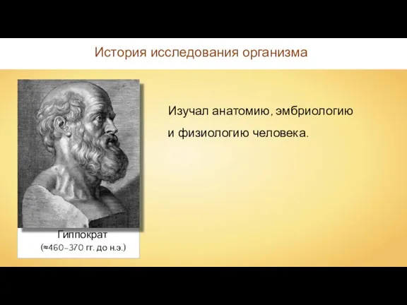 Гиппократ Изучал анатомию, эмбриологию и физиологию человека. История исследования организма (≈460–370 гг. до н.э.)