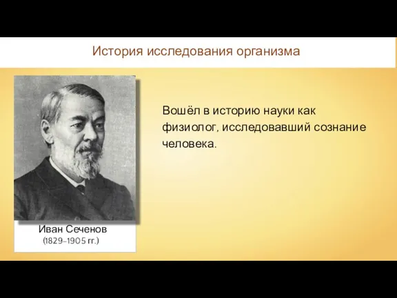 Иван Сеченов История исследования организма Вошёл в историю науки как физиолог, исследовавший сознание человека. (1829–1905 гг.)