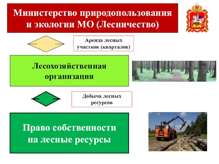 Министерство природопользования и экологии МО (Лесничество) Лесохозяйственная организация Право собственности