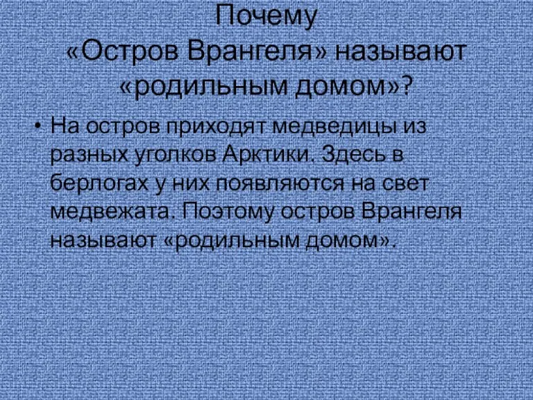 Почему «Остров Врангеля» называют «родильным домом»? На остров приходят медведицы